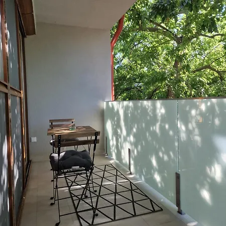 Starlight Yellow * Szeged