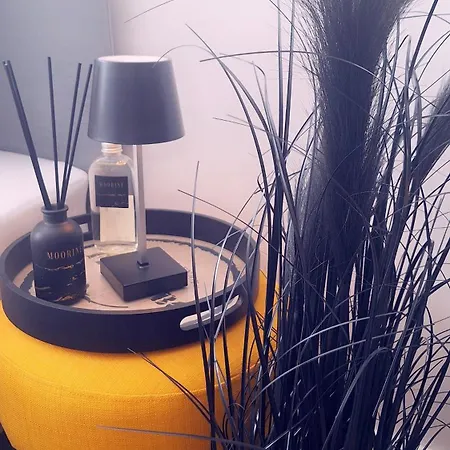 Starlight Yellow شقة سيغيد